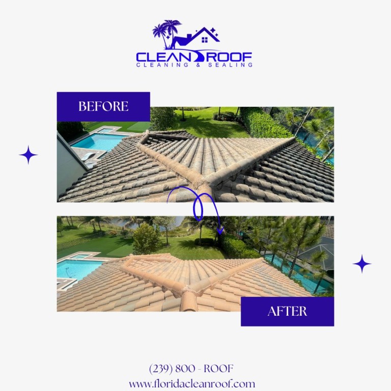 Roof Cleaning: Before & Afters