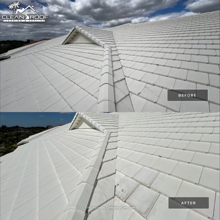 Roof Cleaning: Before & Afters