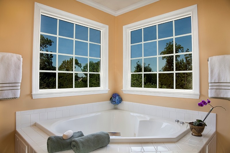 Windows & Doors