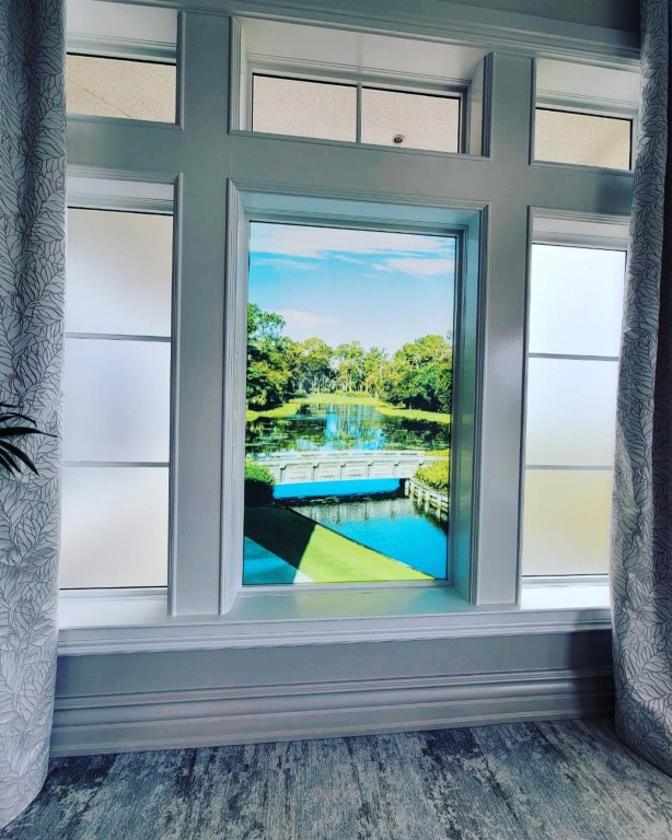 Windows & Doors