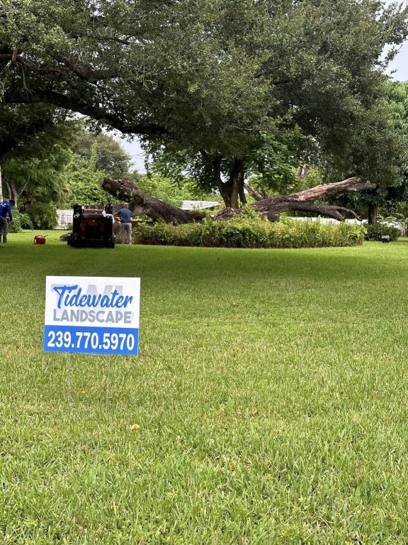 Landscaping