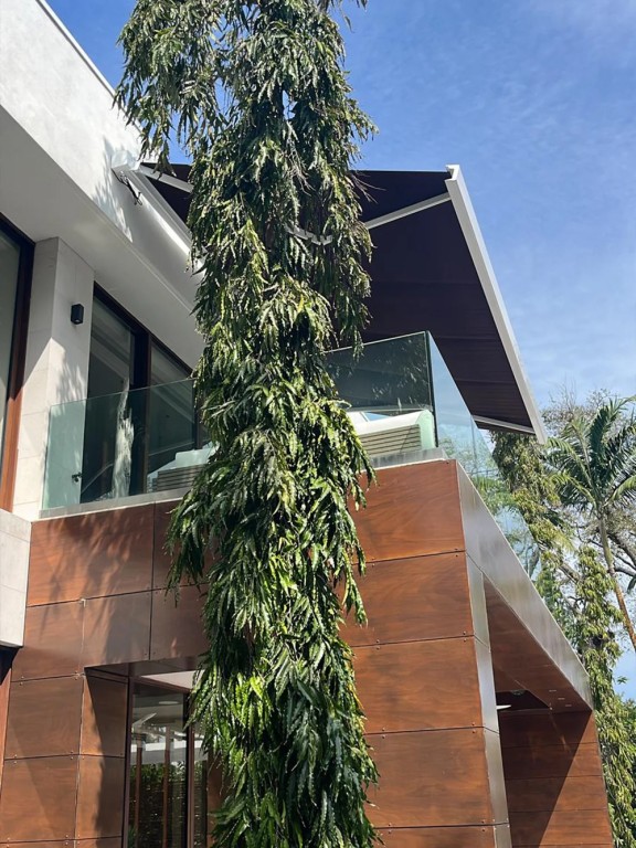 Motorized Awning/Solar Screen