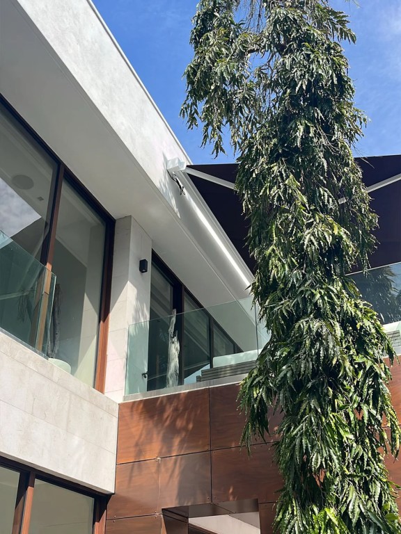 Motorized Awning/Solar Screen