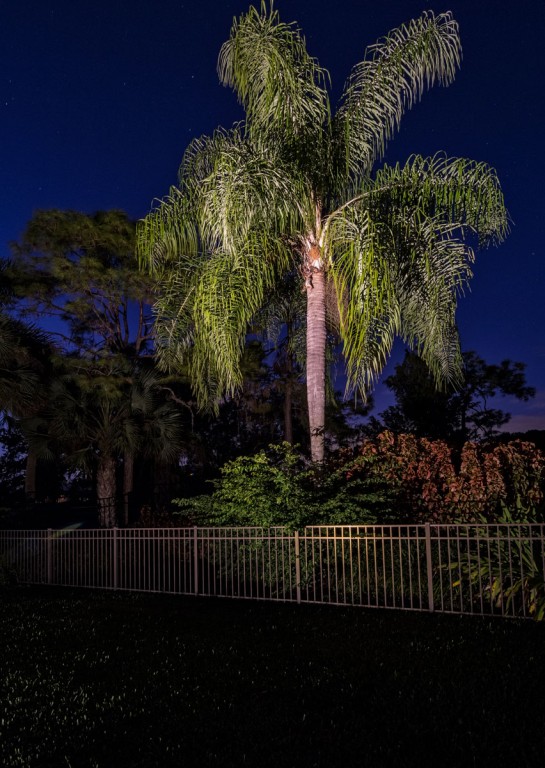 Landscape Lighting