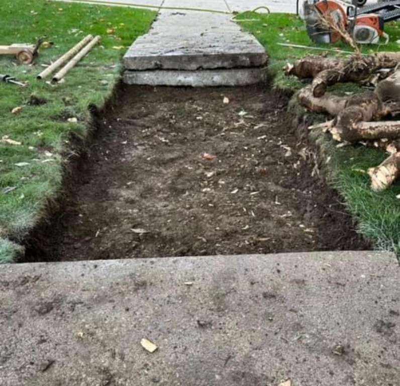 Is your sidewalk lifting due to roots?