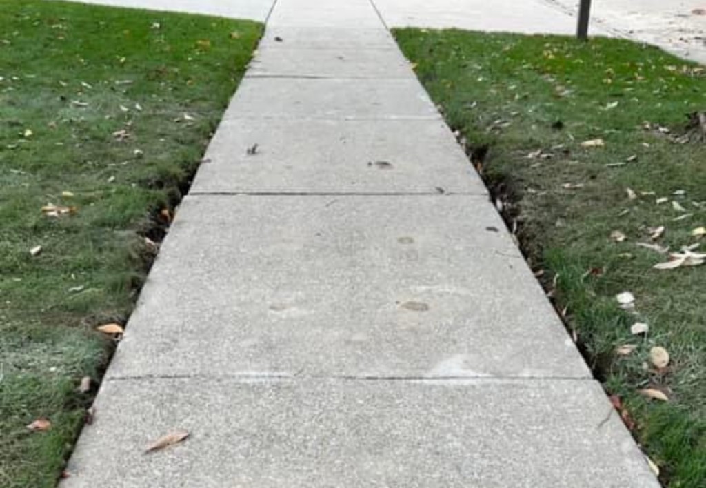Is your sidewalk lifting due to roots?