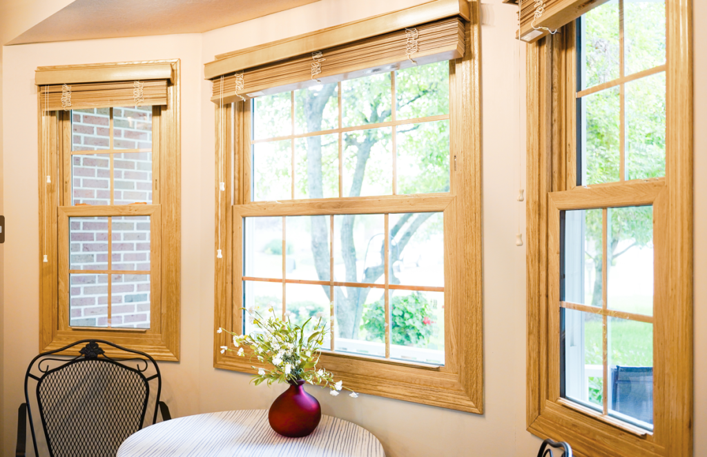 Patio Doors & Windows 