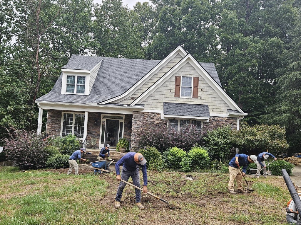 Bed & Lawn Renovations