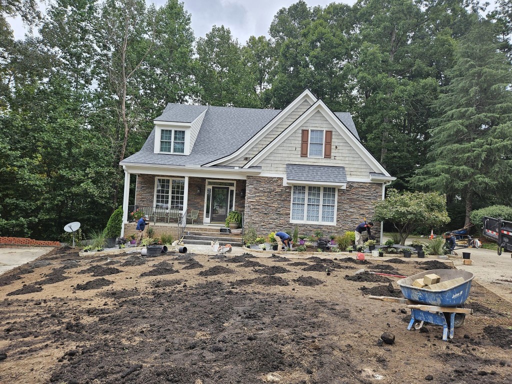 Bed & Lawn Renovations