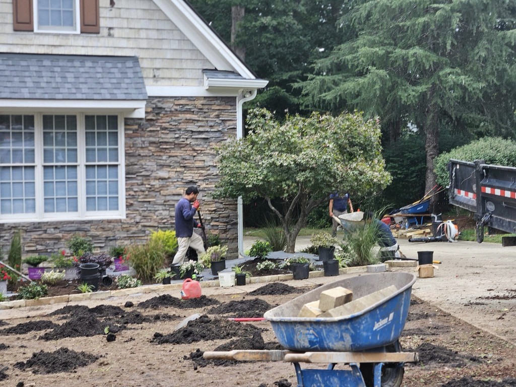 Bed & Lawn Renovations