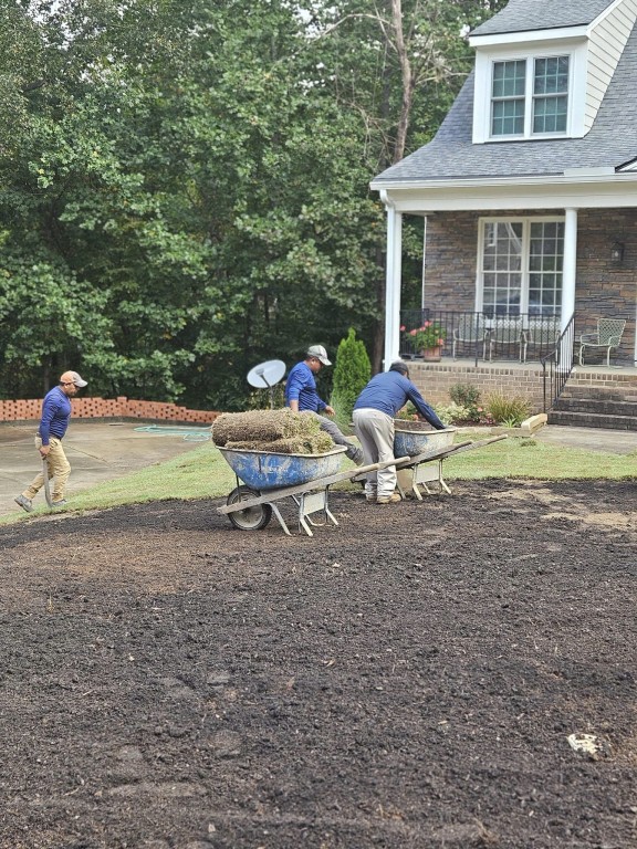 Bed & Lawn Renovations