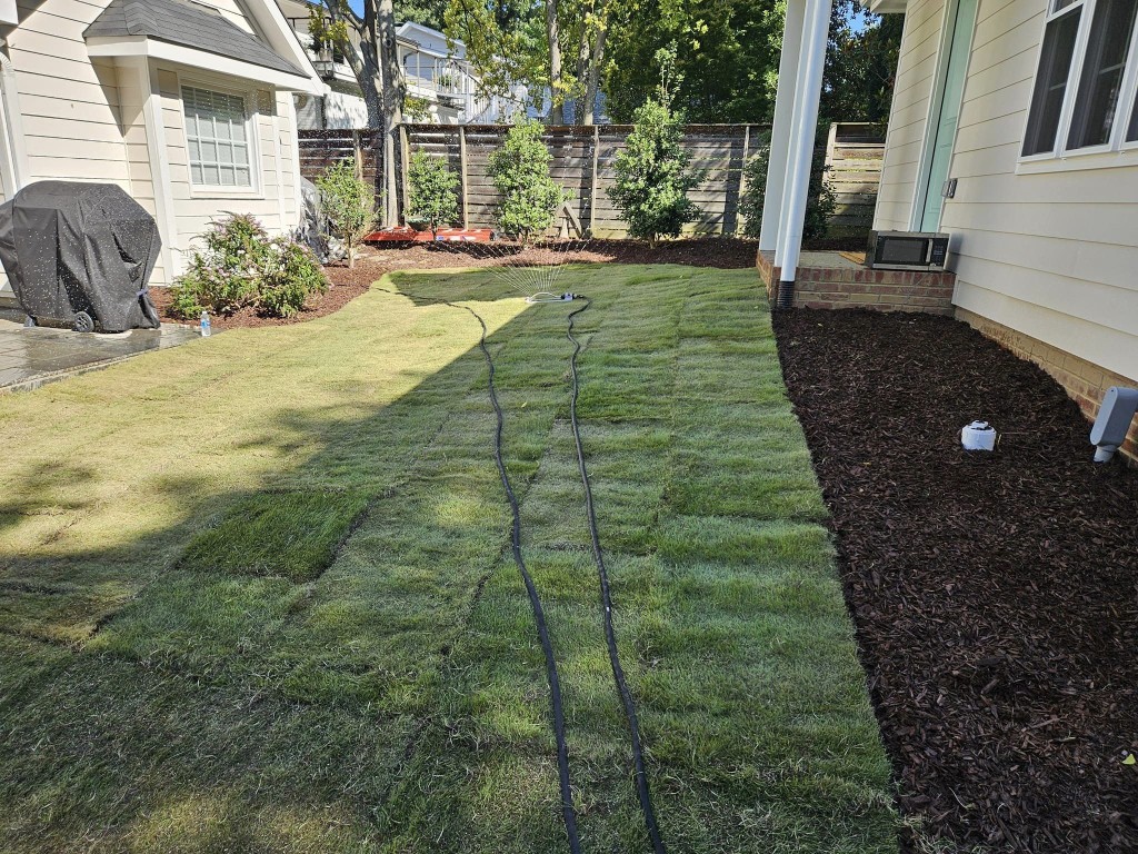 Zeon Zoysid/Sod Install