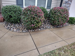 Landscaping Elements