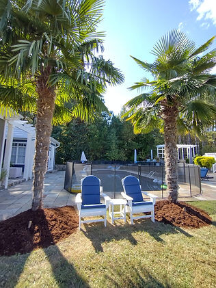 Landscaping Elements