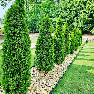 Landscaping Elements