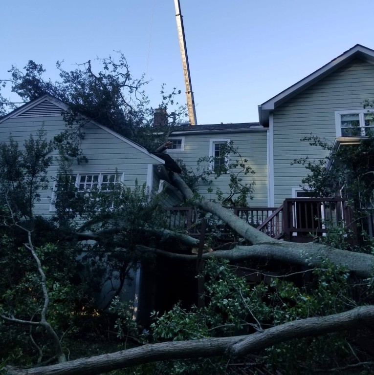 Emergency Tree Service