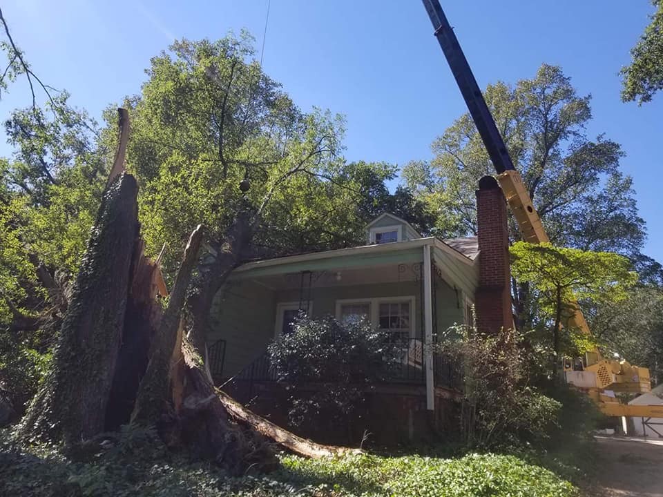 Emergency Tree Service