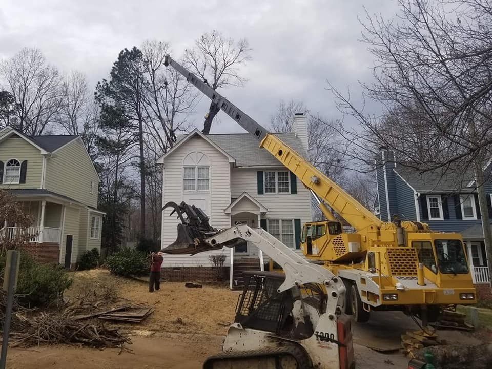 Emergency Tree Service