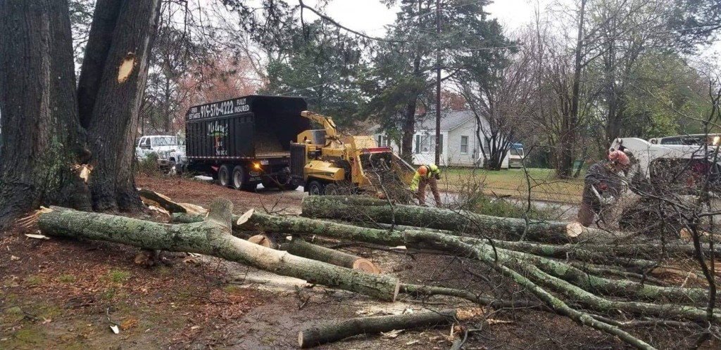 Emergency Tree Service