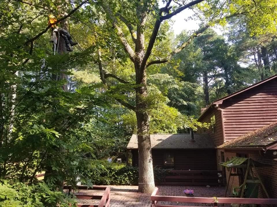 Emergency Tree Service