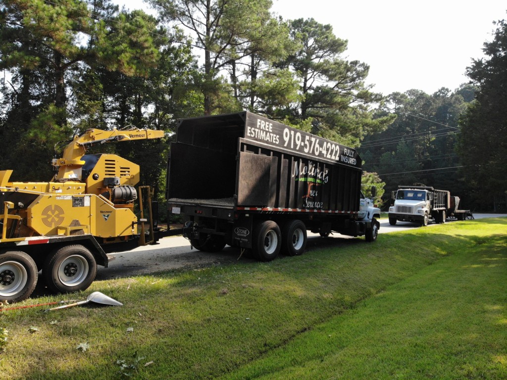 Tree Removal