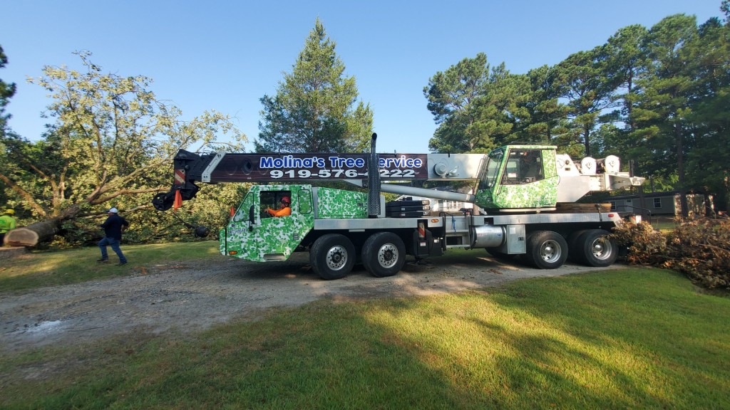 Crane Tree Service