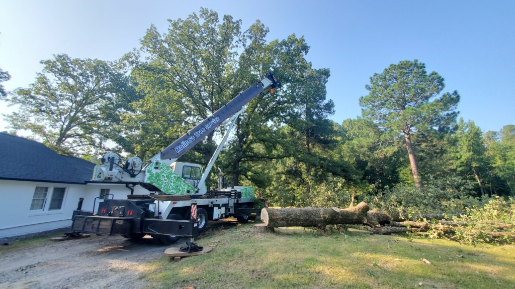 Crane Tree Service