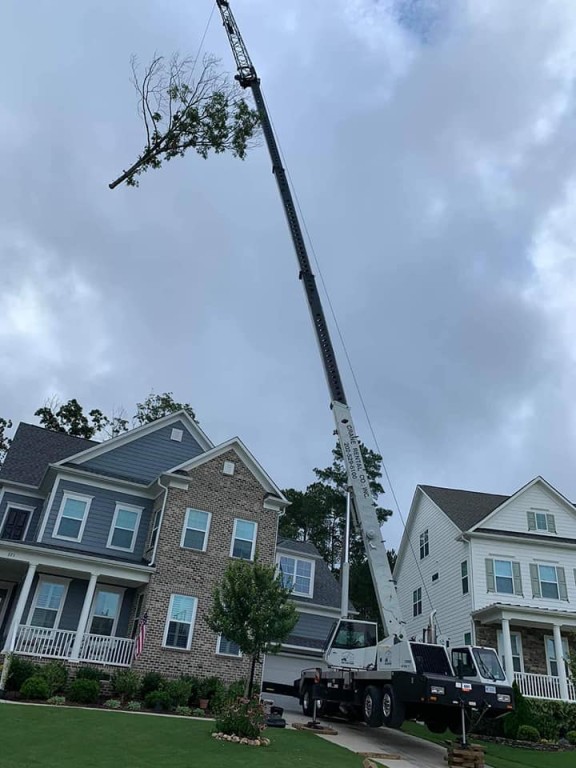 Crane Tree Service