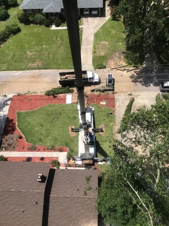 Crane Tree Service
