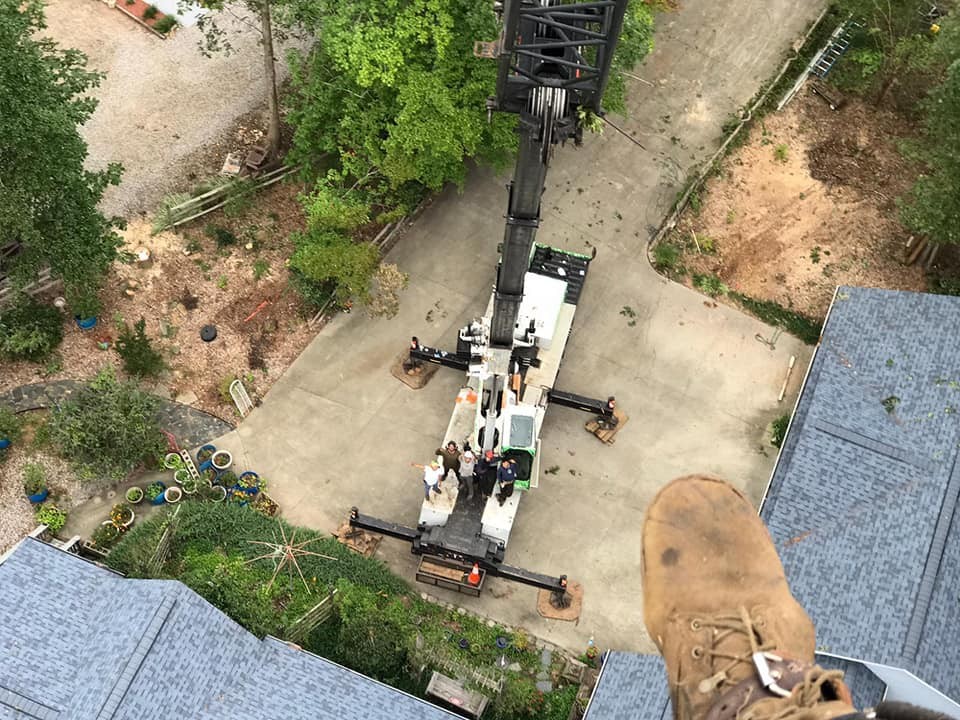 Crane Tree Service