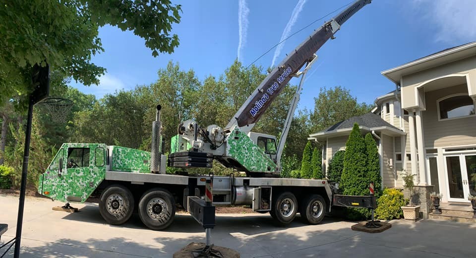 Crane Tree Service