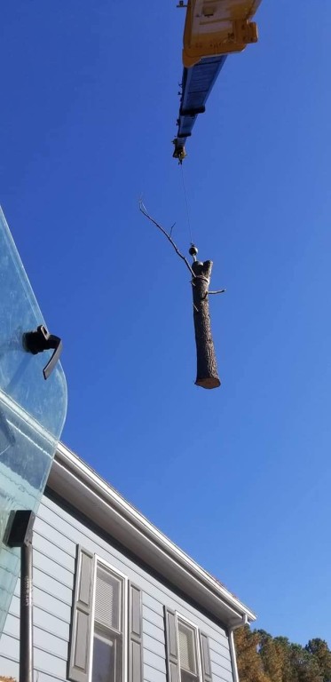 Crane Tree Service