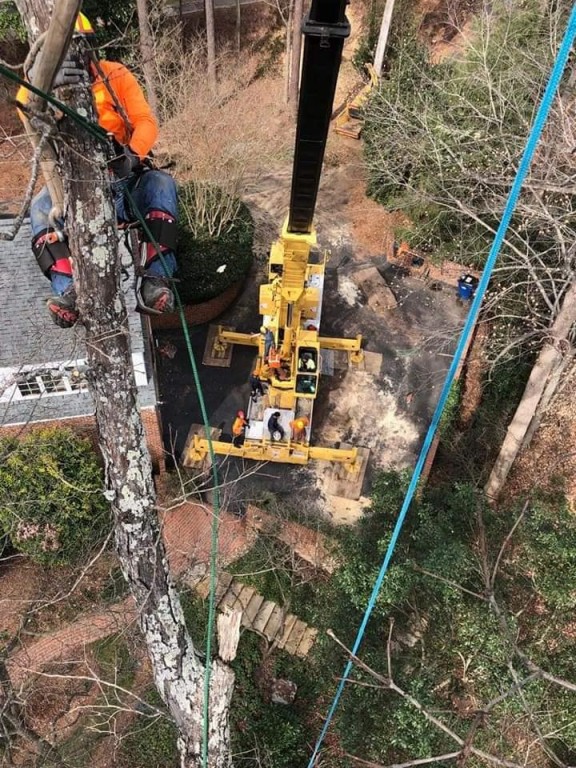 Crane Tree Service