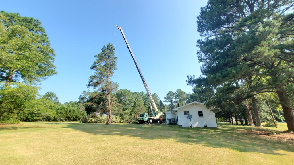 Crane Tree Service