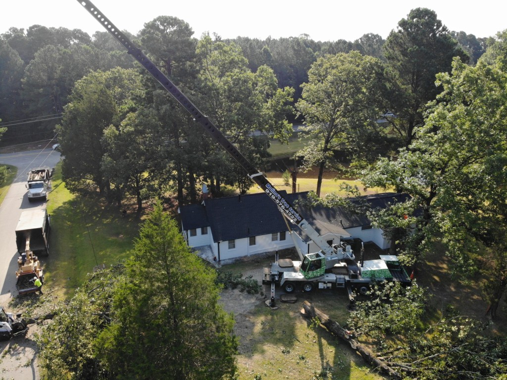 Crane Tree Service