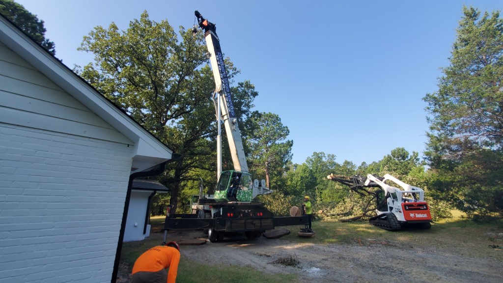 Crane Tree Service