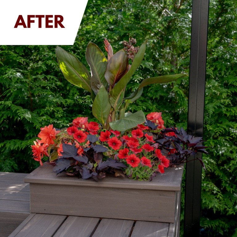 New deck with planter box, bench, and patio cover
