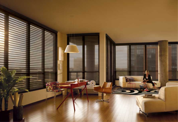 Interior Shades