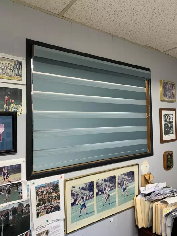 Roller Shades