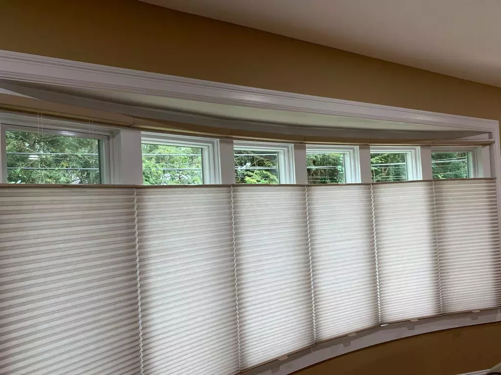 Cellular and Pleated Shades