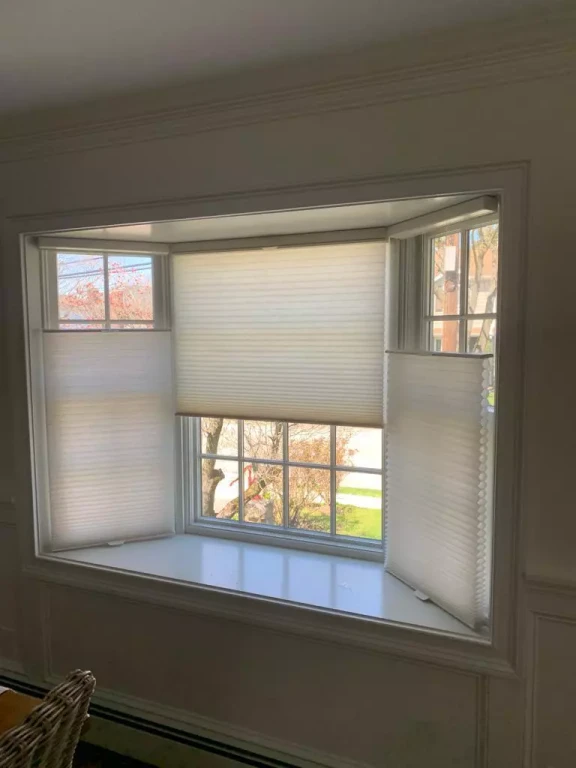 Cellular and Pleated Shades