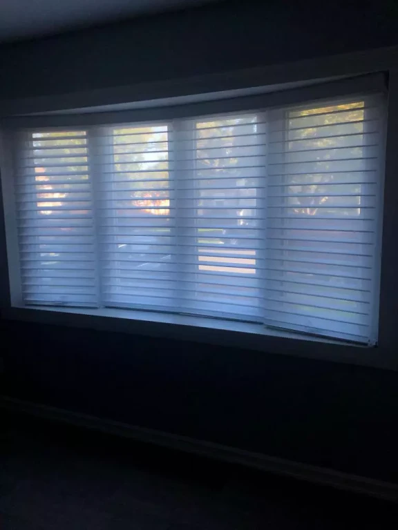 Silhouette Shades