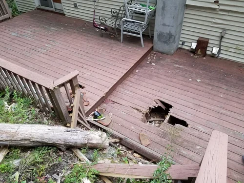 Fence and Deck Repairs