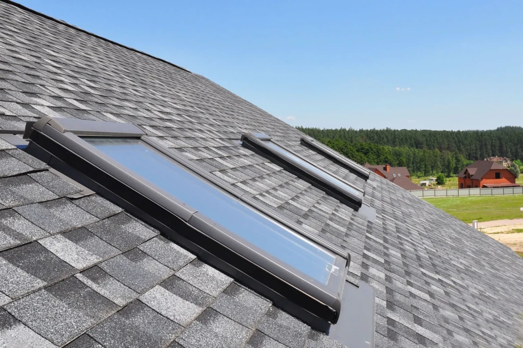 Specialized Roofing Services